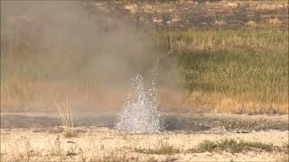 Rejuvenated Geyser (2023)