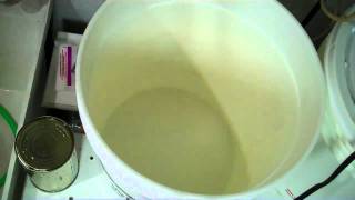 Making a St. Peter's Beer Kit - Ruby Red Ale