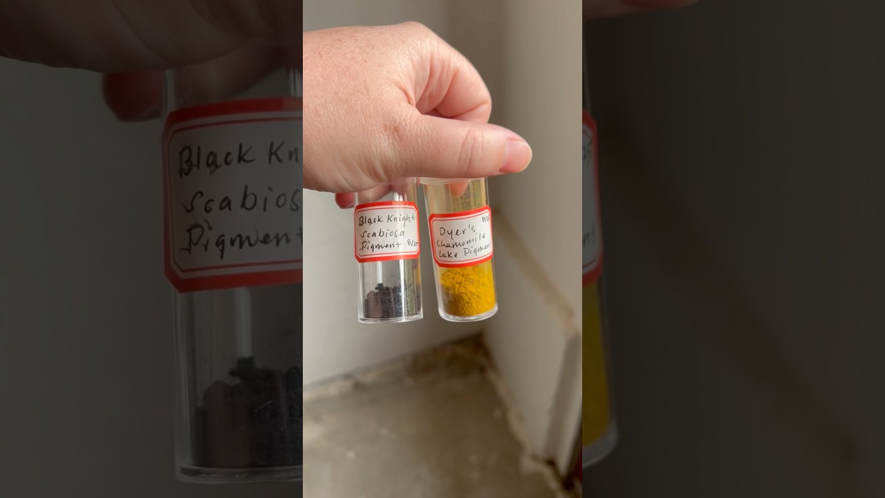 Making watercolor paint from my garden plants. 