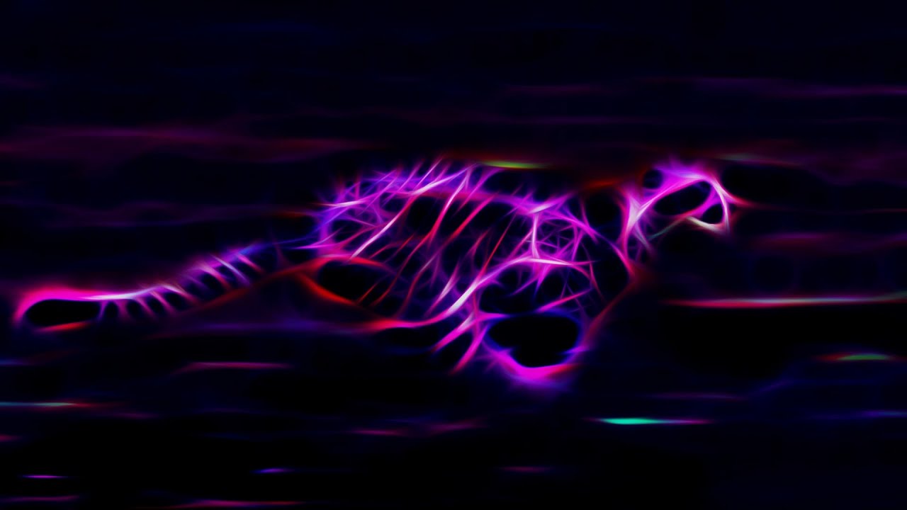 Why Don t Vegetarians Eat Animals When Animals Eat Each Other YouTube why-don-t-vegetarians-eat-animals-when-animals-eat-each-other-youtube