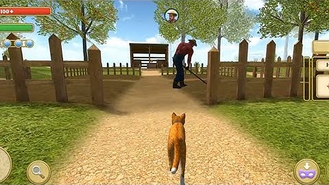 Cat Simulator: Kitties Family | gameplay walkthrough part 1 | Red Chilli Gaming | Android iOS