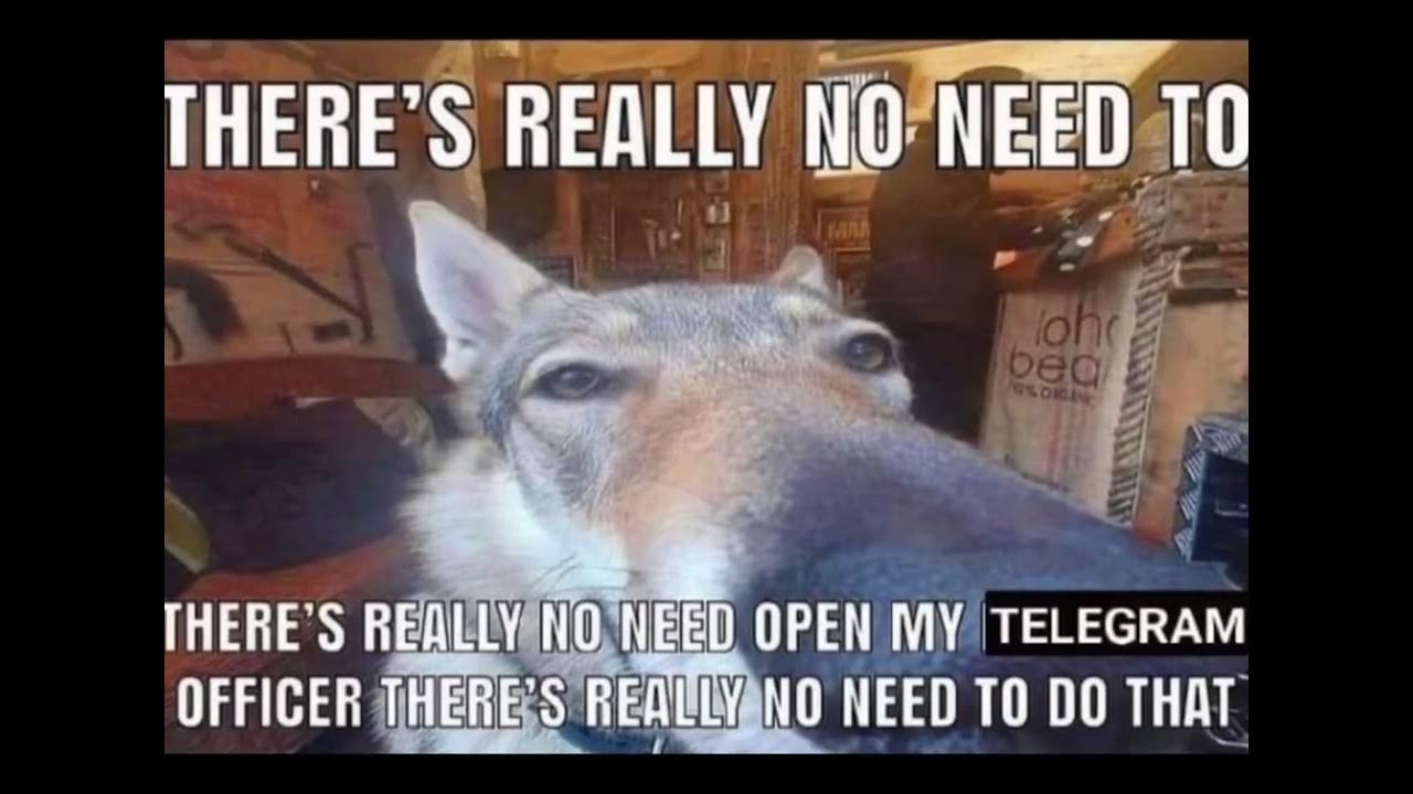 Money can buy happiness. No need to be upset meme. There is no need. Мастер йода 4 эпизод. No there's no need.