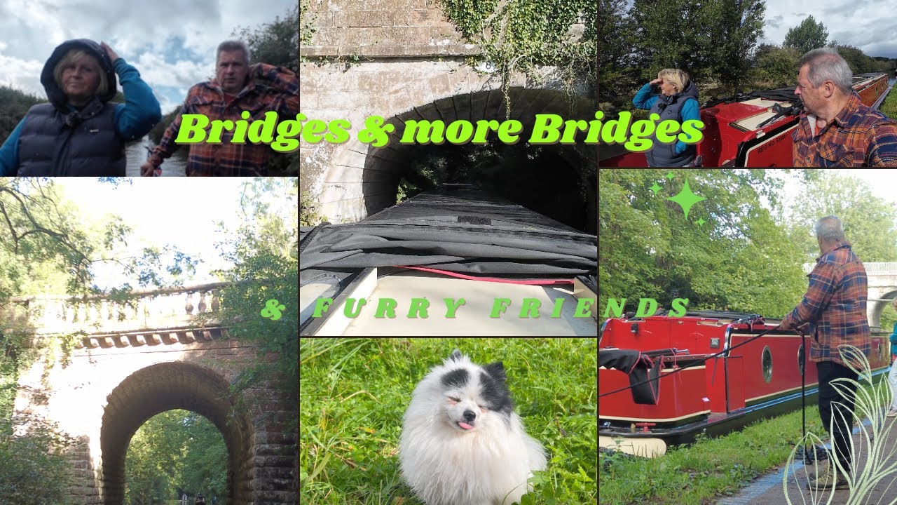 Episode 79 Starting Our Times Shroppie Journey