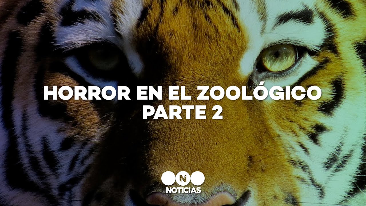 Se CONOCIERON MÁS DETALLES del HORROR en el ZOOLÓGICO DE LUJÁN - Telefe Noticias