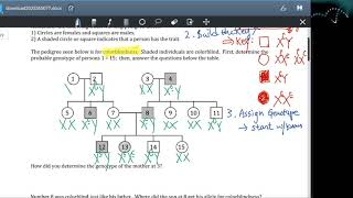 Pedigree worksheet video #1