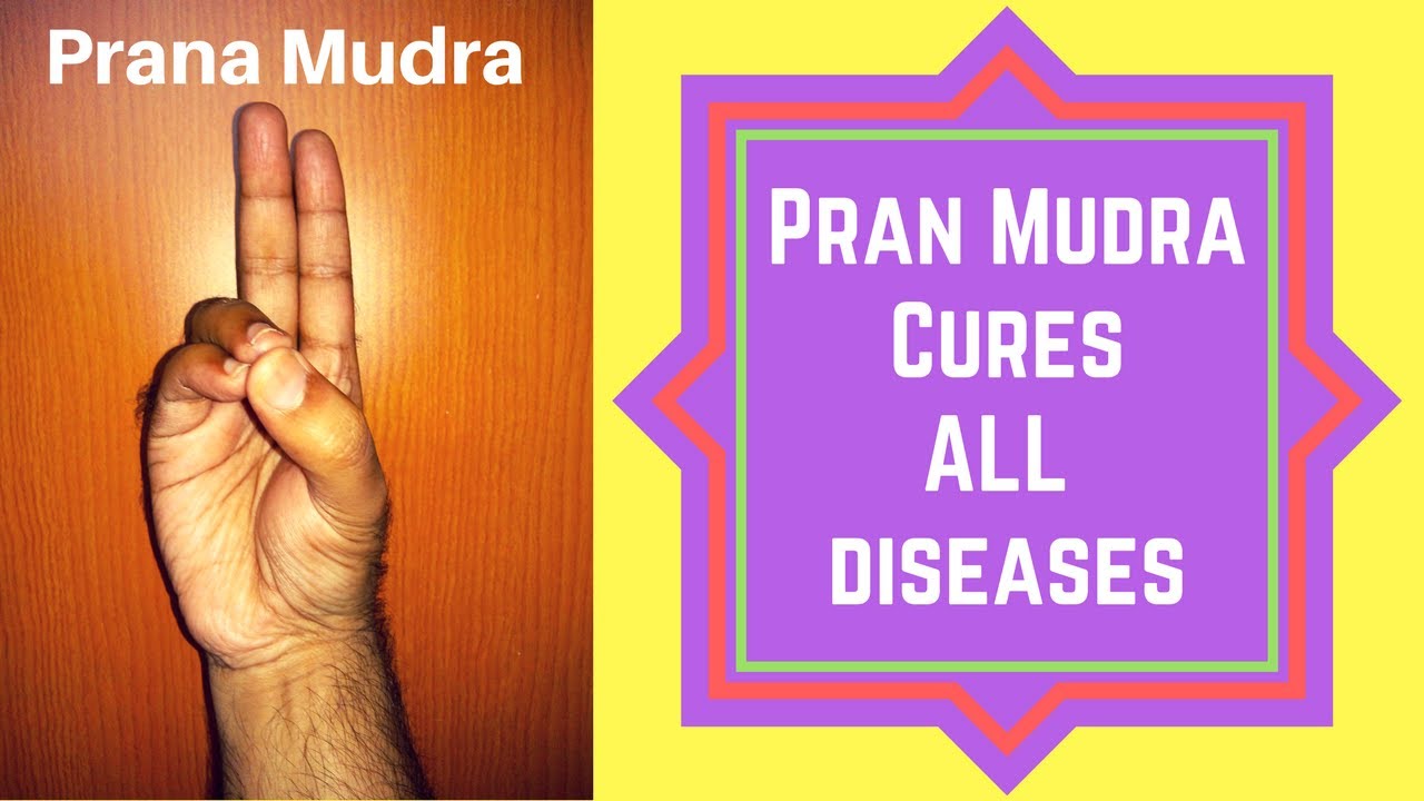 prana-mudra-prana-mudra-video-how-to-do-prana-mudra-pran-mudra
