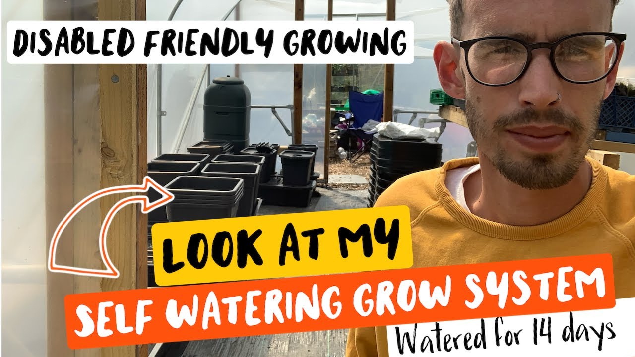 Self Watering Grow System | Disabled Friendly Growing | 2 x Bigger Harvest