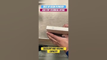 100% trusted ply ask for buy #shorts #short #plywood #knowledge #resin #tips #tricks #trusted #board