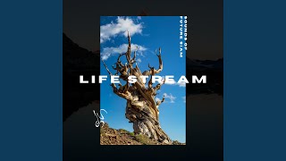 Life Stream - Sounds of Future Siam