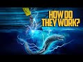 Electric Eel Adventure Quiz