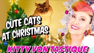 Cute Cats At Christmas - Cats with Christmas Lights, Wrapping, Stockings, Santa, Sleighs & More! by Kitty Von Tastique 340 views 5 years ago 8 minutes, 54 seconds