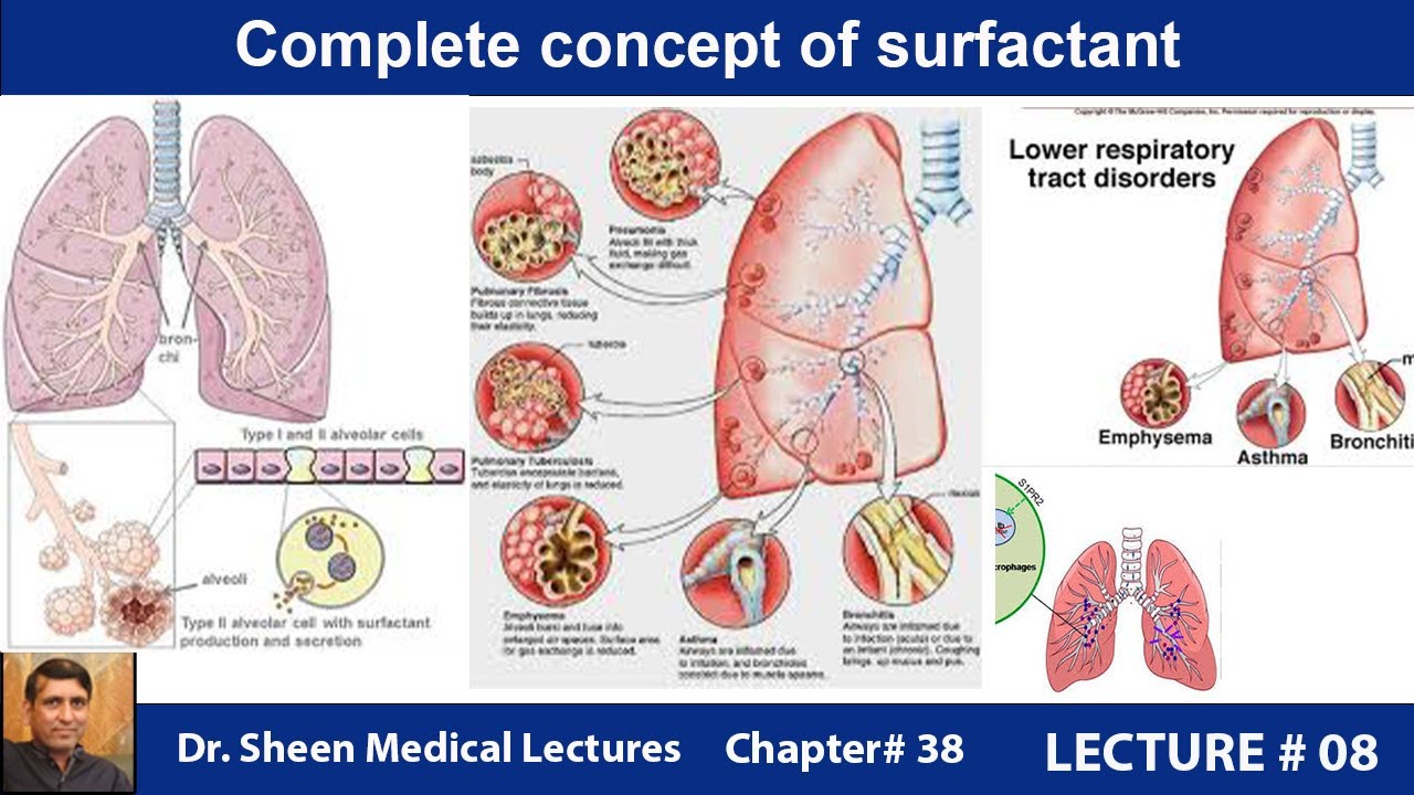 Complete concept of surfactant. CHAPTER # 38 LECTURE # 8