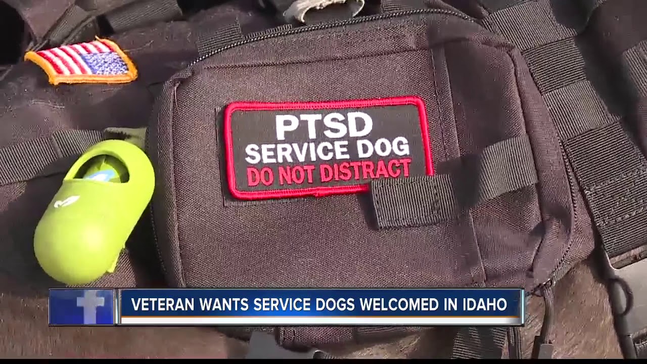 Local veteran wants service dog welcome in Idaho