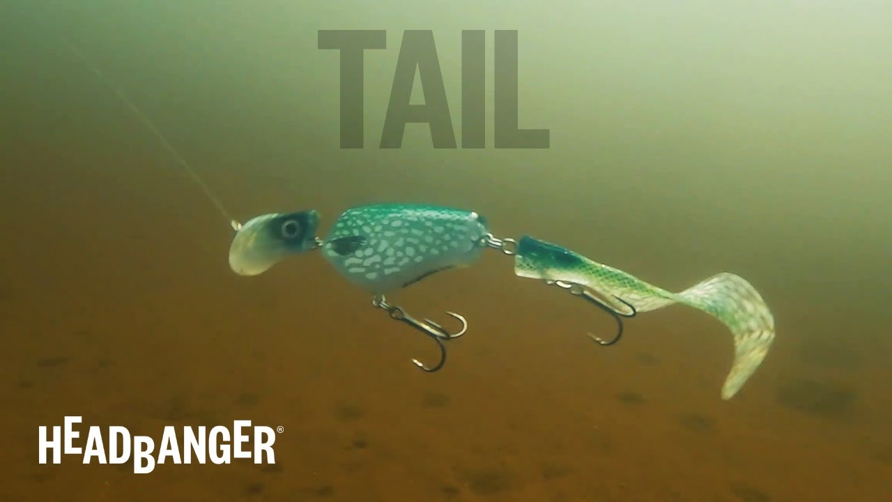 Headbanger Tail - Swimming Action 