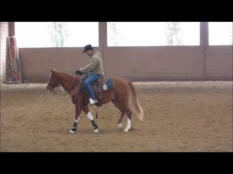 Video: Come Fermare Un Cavallo