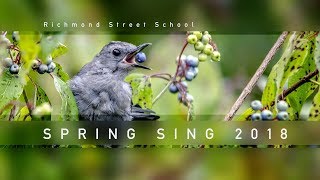 Richmond Street School Spring Sing 2018