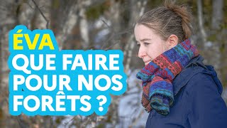 Que faire pour nos forêts ?