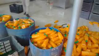 অনঅনুমোদিত শিশু খাদ্য তৈরীর কারখানার সন্ধান BSTI er ভ্যাজাল বিরোধী অভিযান ৮ লক্ষ টাকা জরিমানা