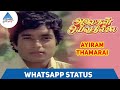 Ayiram Thamarai Whatsapp Status 2 | Alaigal Oivathillai Tamil Movie Songs | Karthik | Radha