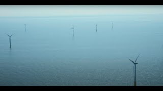 Ecologie in de Noordzee - Windmolenparken