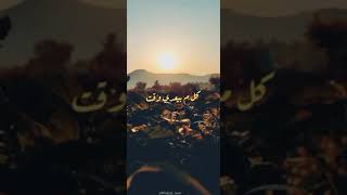 صابر الرباعي كلام في سرك حالات واتس _story