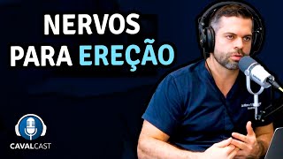 Nervos para Ereção | Cavalcast com Dr.  Marco Túlio Cavalcanti