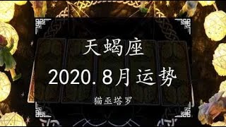 猫巫塔罗：天蝎座2020-八月运势，经历很多阻碍，很难遗忘对方