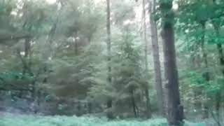 Dd Hammock Frontline Xl