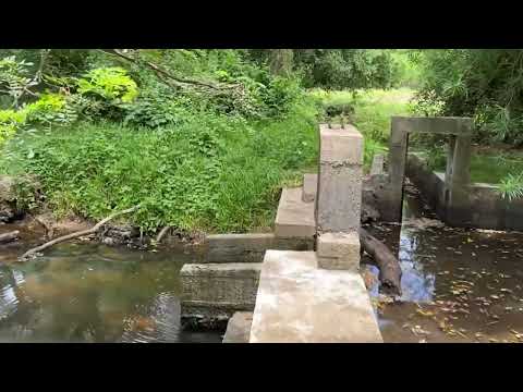 Peeing To Beautiful Jungle Lake Men Pee In Neutral 