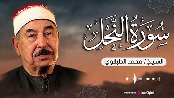  من أروع ما يتركه الإنسان بعد رحيله.. تلاوات كالطبلاوي