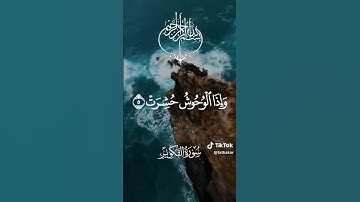 تلاوة فريدة باحساس لا يُوصف لسورة #فضيلةالتكوير    الشيخ #عبدالباسط عبدالصمد 1
