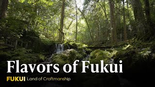 Fukui: Land of Craftmanship  ~Flavors of Fukui~ by JIBTV - Japan International Broadcasting 85 views 1 month ago 4 minutes, 39 seconds