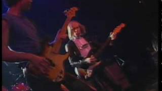 Drive All Night - Elliott Murphy - La Edad de Oro, Madrid 1984