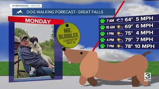 Dog-walking forecast (August 11, 2025)