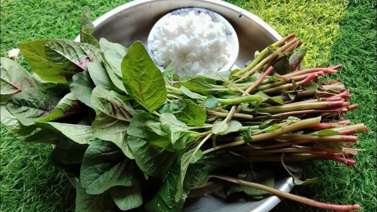 বাঁকুড়ার এই জনপ্রিয়  নটেশাক ভাজা একবার বানিয়ে খেলে রোজ খেতে চাইবেন। Shak Recipe | New Recipe