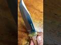 Sick SwissTech Fixed Blade Knife! #edc #cutlery #blade #bowieknife #fixedblade #edcfixedblade