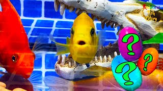 Surprise Eggs | Aztec Underwater City with Surprise Parrotfish, Gourami, Neon fish