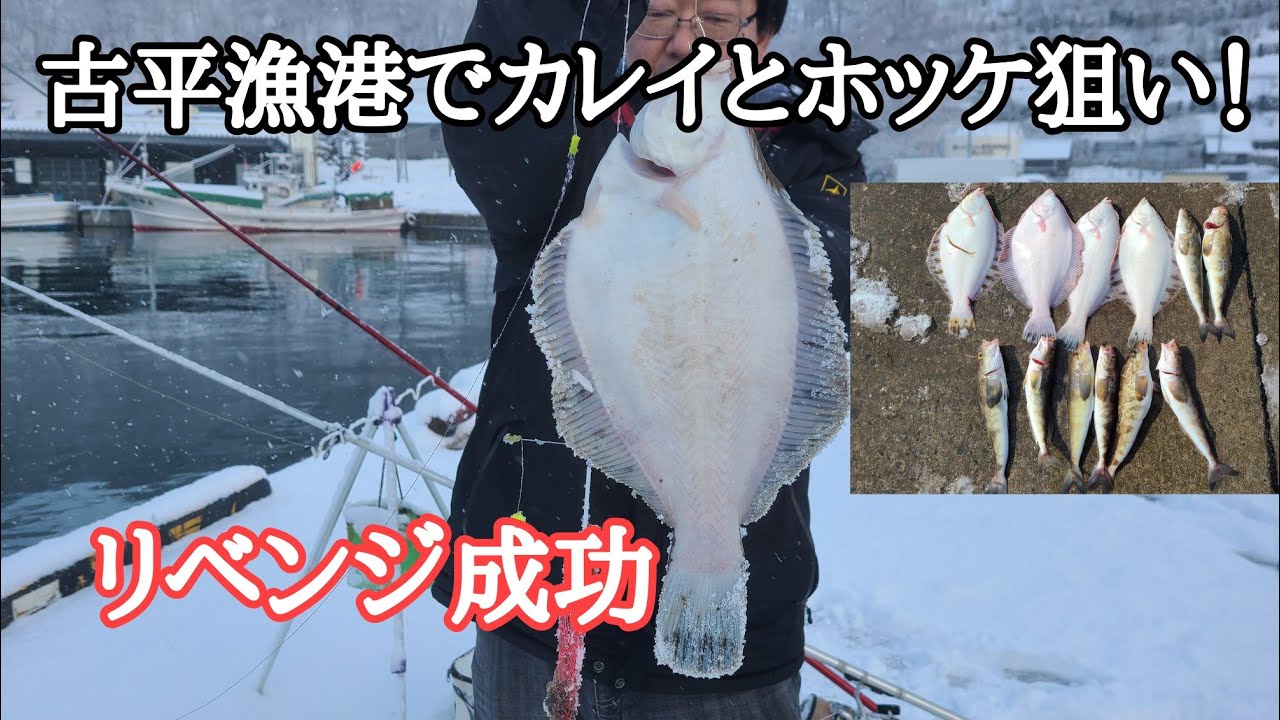 古平漁港でカレイとホッケ狙い！