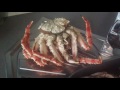 Варим краба.cook crab