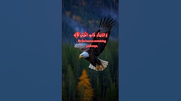 Beautiful Quran - Surah Adh Dhariyat [The Winnowing Winds]  سورة الذاريات | #quran