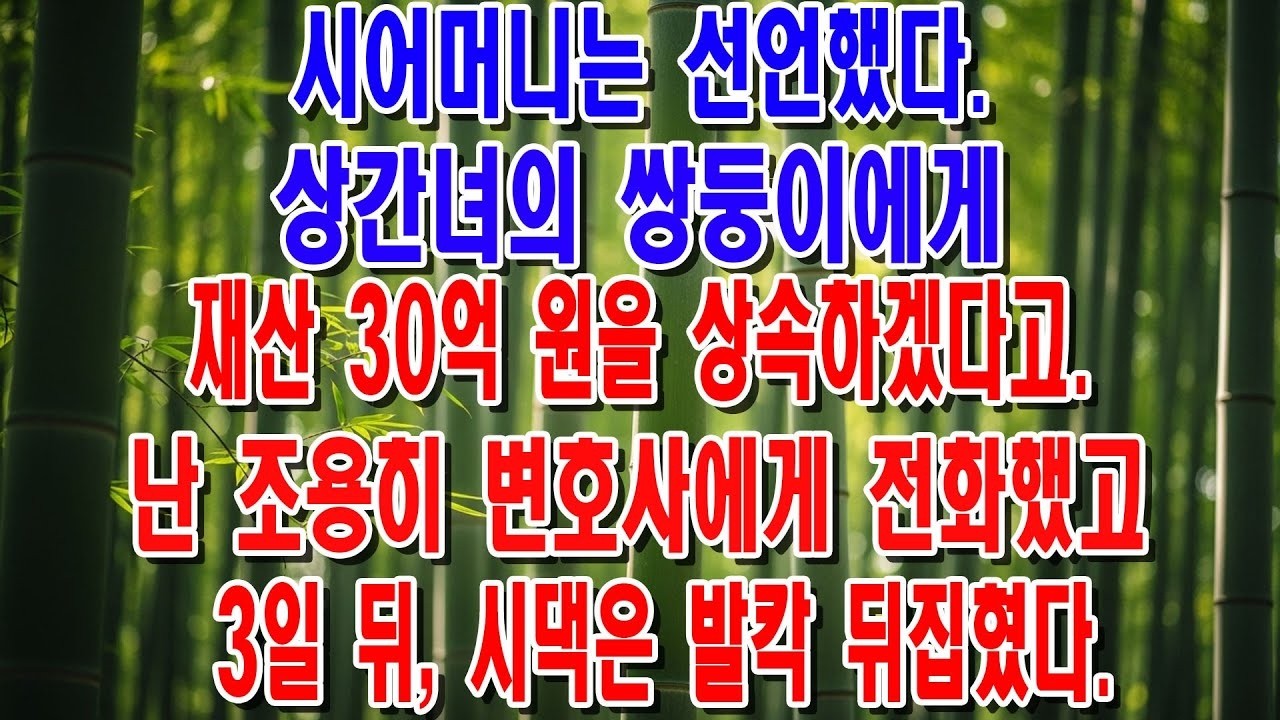시어머니가 상간녀의 쌍둥이에게 30억을 상속한다고  저는 난리치는 대신 변호사에게 전화했습니다