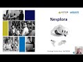 Webinar Nesplora, com Victória Faraj