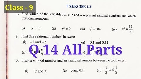 Class 9 NCERT Maths Chapter 1 Number Systems || Exercise 1.3 Q 14 all parts, From NCERT EXEMPLAR