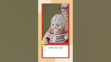 “Is Your Brain More Powerful Than a Computer?