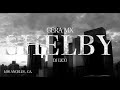 Gera mx  shelby oficial prod jayrick