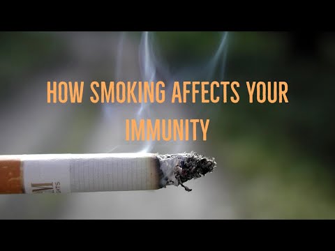 Video: Smokers are ruined by their own immune system