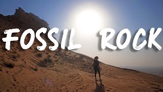 PICNIC ON PLANET MARS - Fossil Rock