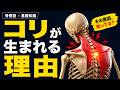 【コリの原点】なぜコリはなかなか無くならないのか？