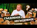 КОНСЕРВИРОВАННЫЕ ГРИБЫ — ОБЗОР ОТ ШЕФА