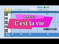 『パワプロ応援歌』C'est la vie~私のなかの恋する部分/愛野美奈子(小松彩夏)/ドラマ「美少女戦士セーラームーン」挿入歌
